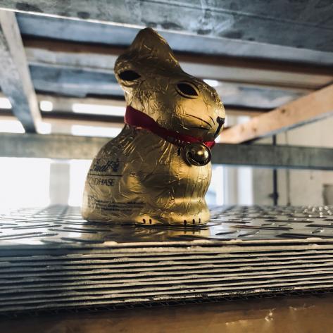 Blech Dresden Ostern